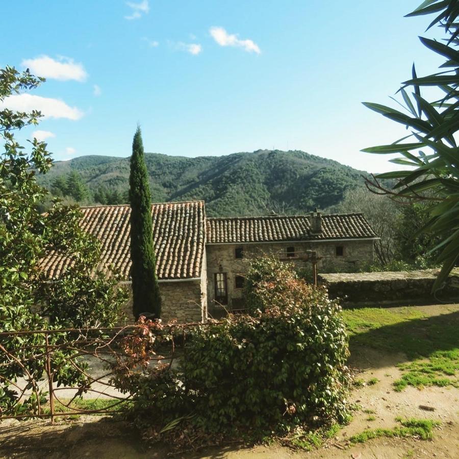 Gîte Pommier au Château des Pauses Saint-André-de-Majencoules Exterior foto